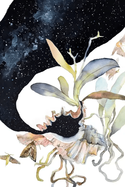 Canvas Art Astnhk Cosmos - Best Vintage Pictures in HD