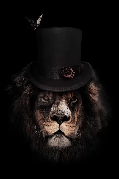 Classy Lion Light Canvas - Premium City Image Gallery - Ultra HD