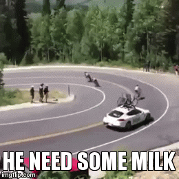 Discover more posts about shrek donkey gif. He needs some milk! - Imgflip