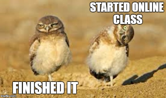 Téléchargement gratuit Images Online Learning Is Sometimes Frustrating Imgflip dernière salutations