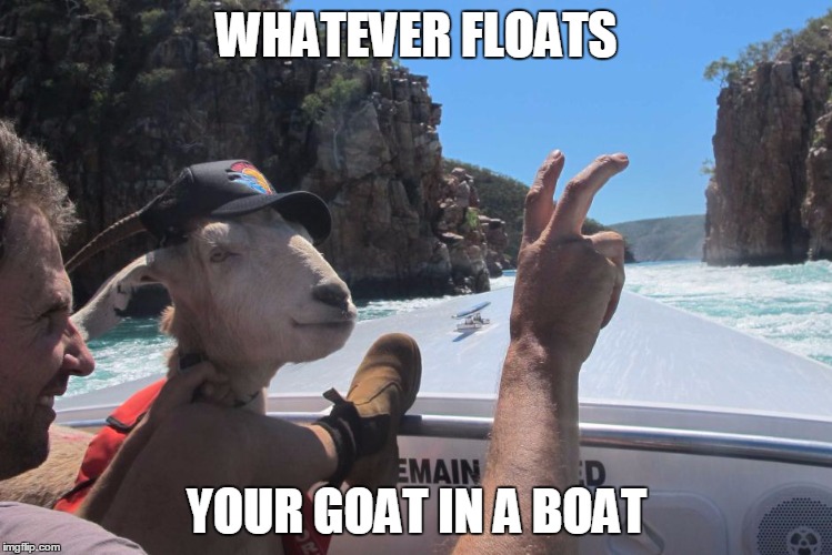 Scroll must be held in the inventory when the action is performed. Goat In A Boat Imgflip