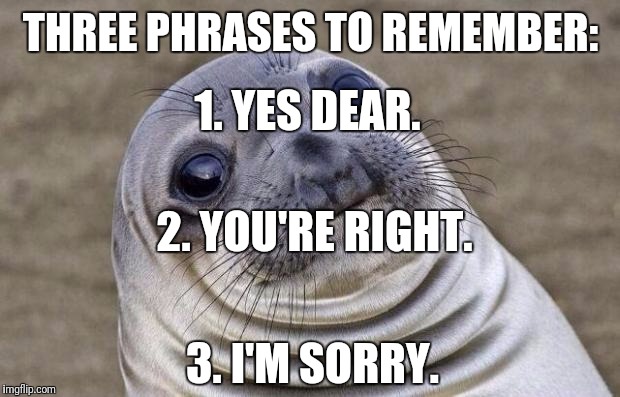 Imgflip pro gif maker meme generator blank meme . Awkward Moment Sealion Meme Imgflip