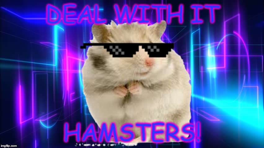 Unique funny hamster posters designed and sold by artists. hamsters Memes & GIFs - Imgflip