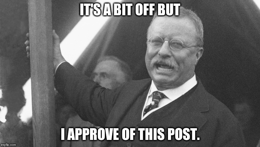 Buy funny teddy roosevelt meme t shirt get shot: Teddy Roosevelt Memes Imgflip