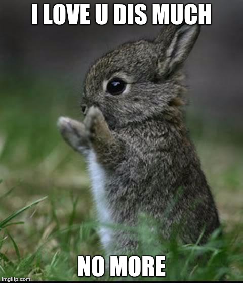 Check out the best fifteen of the love memes you'll ever see here and share them with someone you love! Cute Bunny - Imgflip