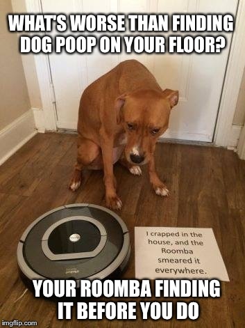 If your dog eats something from the trash pile or food that has gone bad, their stomach will start to voice its disagreement through loud rumblings. Unique 70 of Kid Poops On Floor Meme | a-zwebinfo