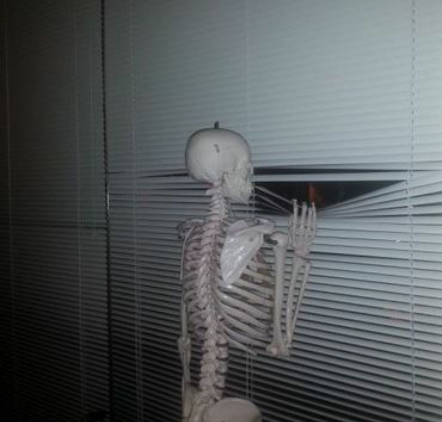Make skeleton waiting memes or upload your own images to make custom memes. Skeleton Waiting Blank Template Imgflip