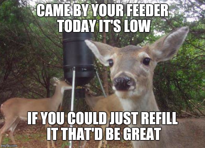 You'll love these awesome deer hunting memes so much you'll just have to share them on your social media outlets. Hunting Memes Gifs Imgflip