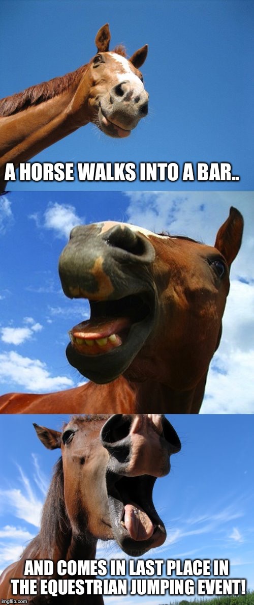 A horse walks into a bar..
