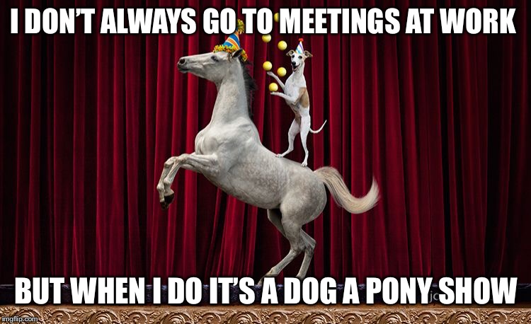 Dog pony show