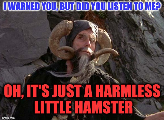 Unique funny hamster posters designed and sold by artists. Hamster Cult Meme Pfp Editor - Tiny Hamster | Know Your Meme - Hamster cult chant chant chant.