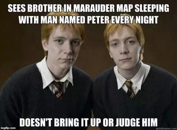 15 Harry Potter-Memes, Die Sogar Muggel Lustig Finden! 450_x_612_jpg
