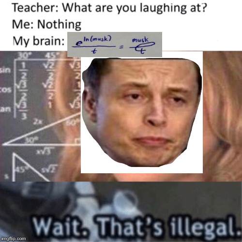 Why can i picture elon lying in bed right now with dad glasses on and giggling quietly at his phone whilst tweeting. Elon Musk Memes Gifs Imgflip