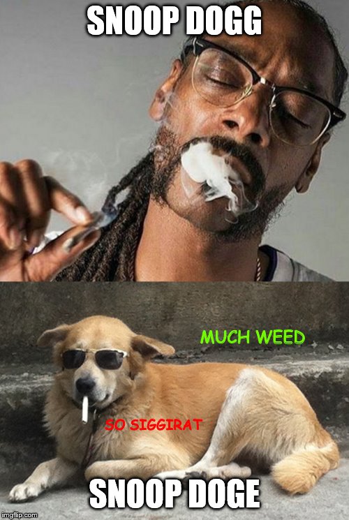 They've become an integral part of modern online life. They both smoke that stuff... so... - Imgflip