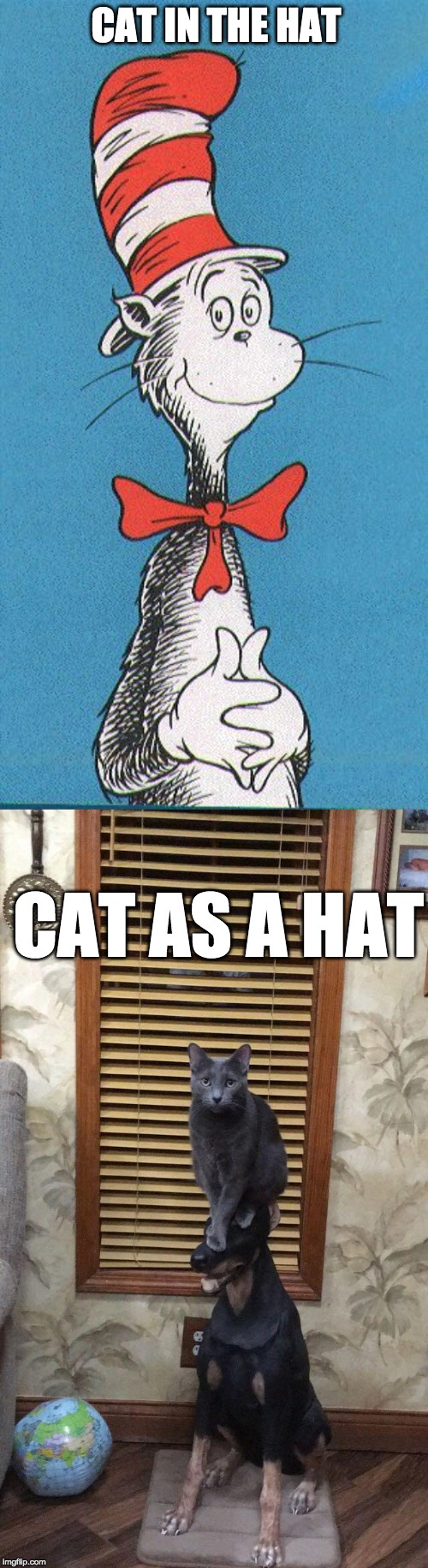 Cat in the hat meme template