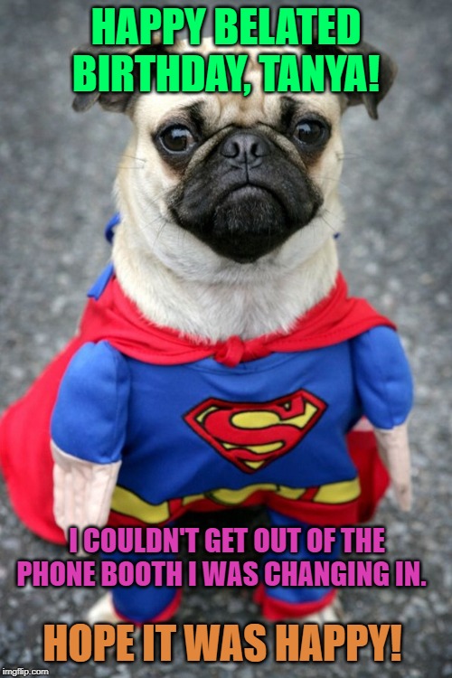 The Best 29 Happy Birthday Meme Dog Pug sossfowall