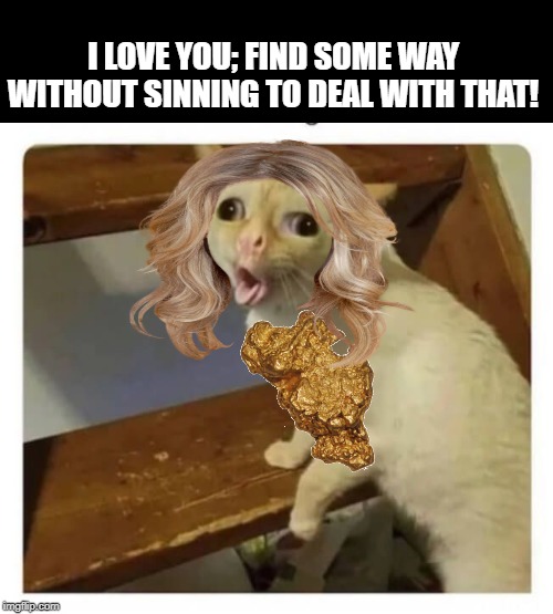 Exposure to chloramine gases can cause the following symptoms: Download Meme Cat Coughing | PNG & GIF BASE