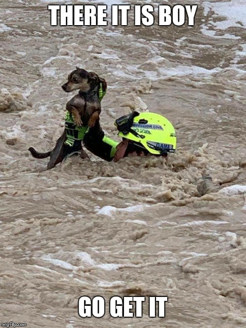 Avoir Images Dark Humour Dark Humor Memes Gifs Imgflip dernière par