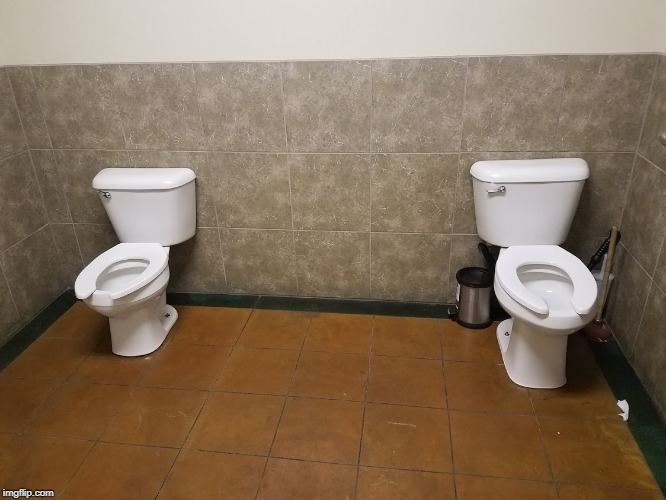 Image tagged in two toilets,seriously - Imgflip