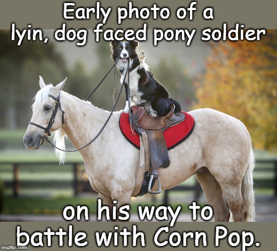 Lyin, dog faced pony soldier