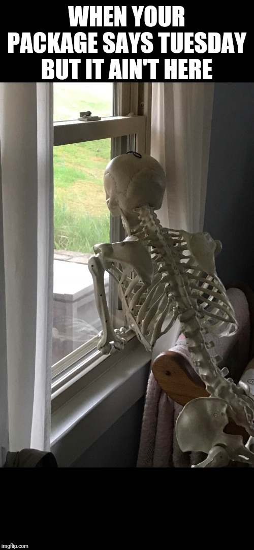 The derby is active and ready for your submissions and voting. skeleton Memes & GIFs - Imgflip