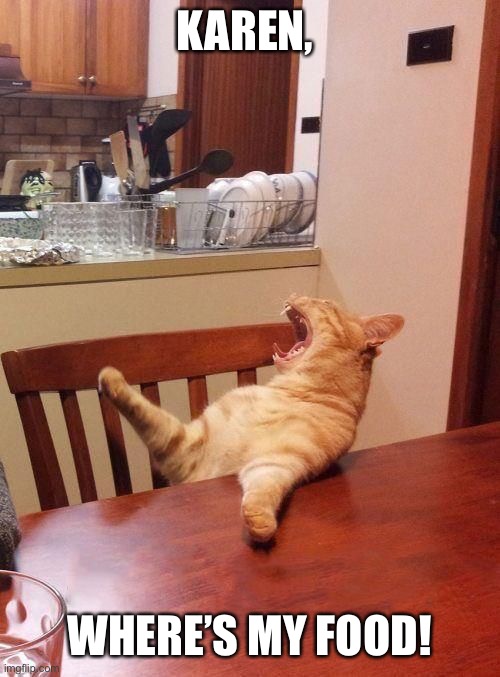 Karen vs table cat template. Ma The Meatloaf Cat Imgflip