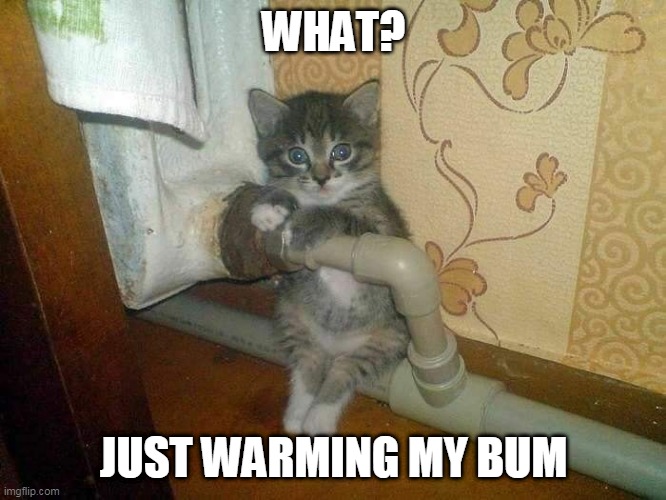 Warm Butt Imgflip