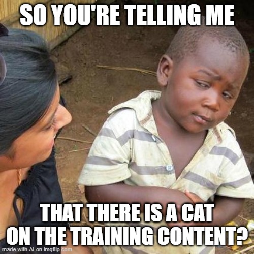 Cat Training Imgflip Cat Training Imgflip