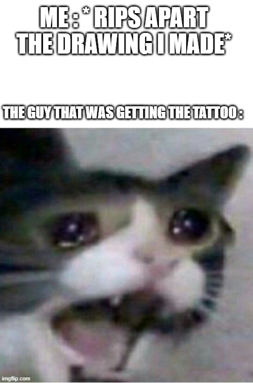 Crying Cat - Imgflip 757_x_500_jpg