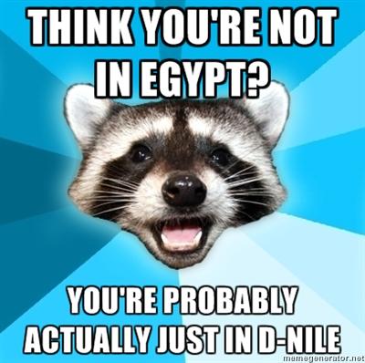Lame Pun Coon