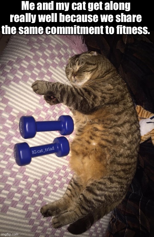 I Workout Imgflip I Workout Imgflip