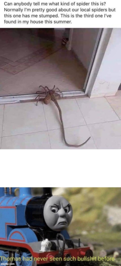 This is not the real memenade, if you want to submit your meme for a video you have to go to the memenade discord channel. ZMem's Images - Imgflip