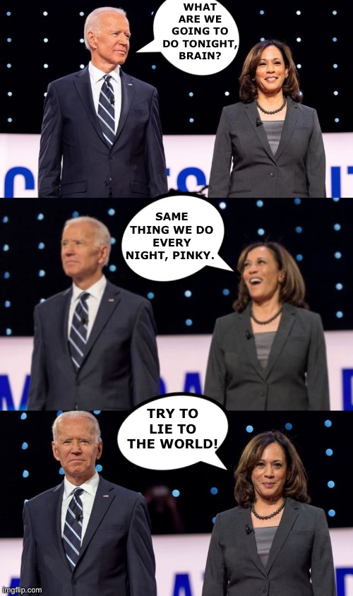 I used a meme generator to make . Pinky and the Brain - Imgflip