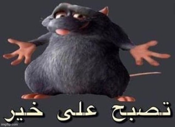 The 2007 film centers around remy, a young rat accidentally . Ratatouille Memes Gifs Imgflip