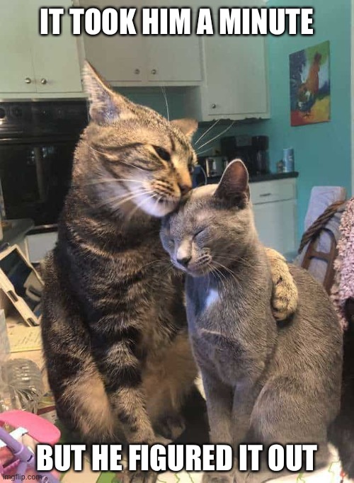 Just like there are dog people in th. A Very Long Minute Imgflip