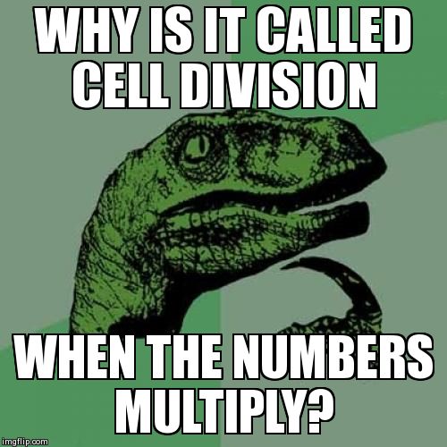 Philosoraptor