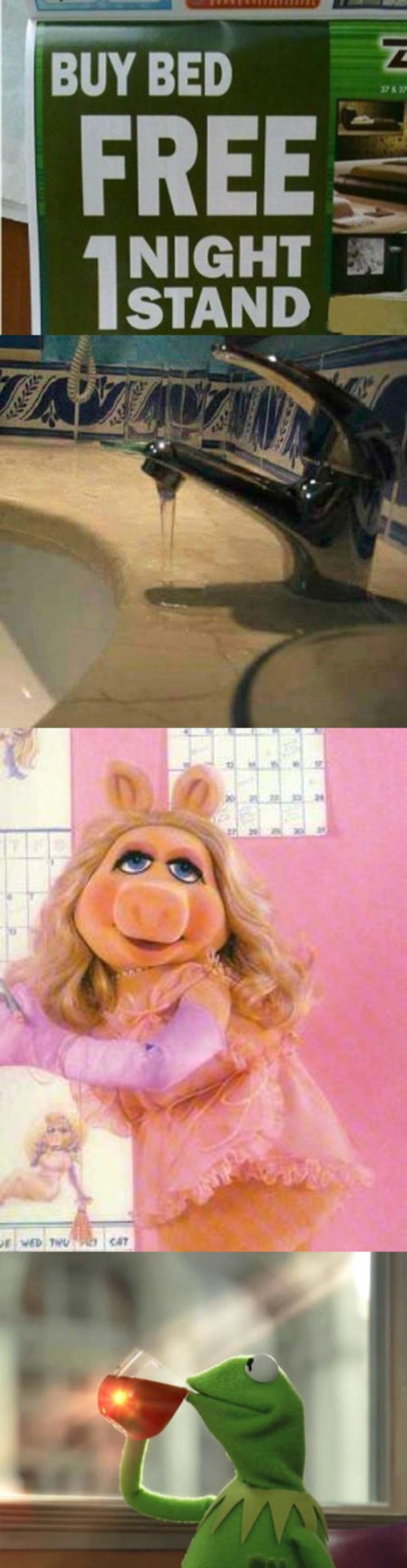 Miss Piggy Hentai