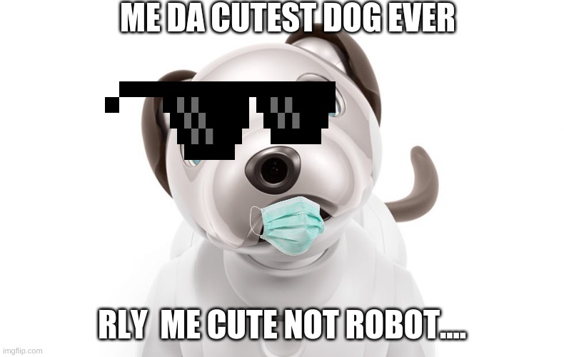 Image tagged in confused robot dog