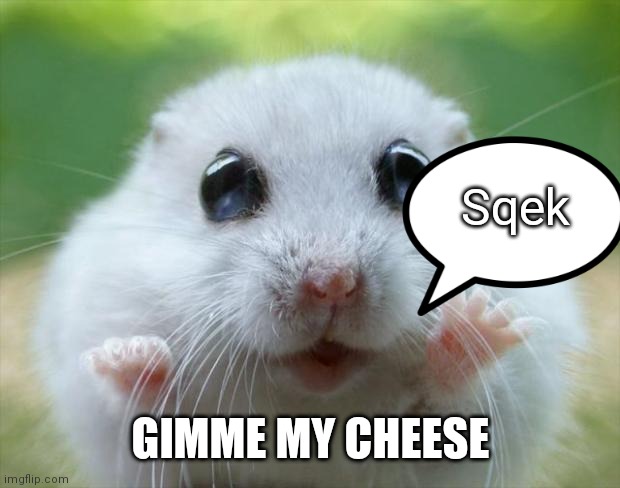 These sweet, funny, and ridiculously cute hamster pictures will totally make your day. Hamster Cute Memes Gifs Imgflip