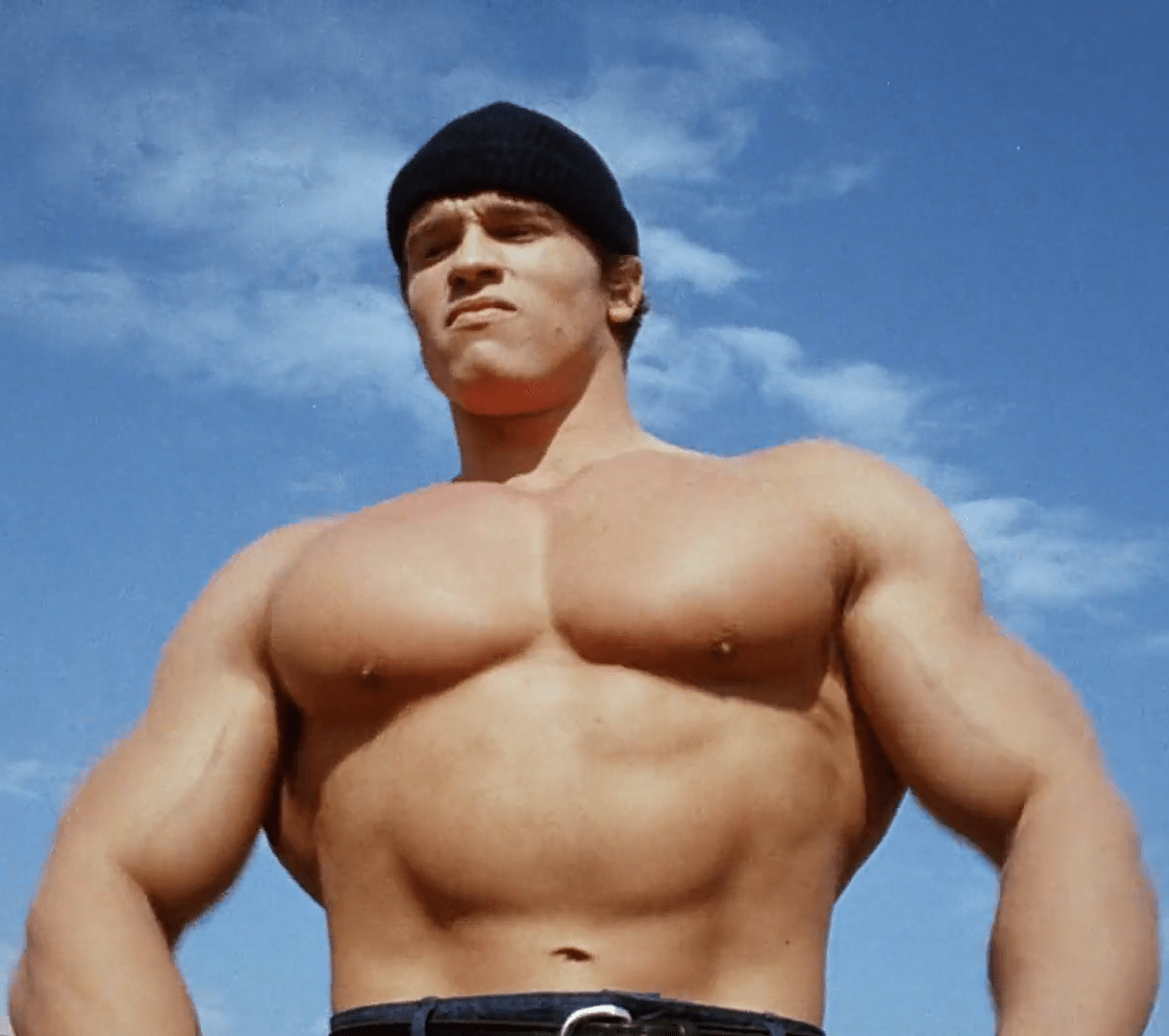 Arnold schwarzenegger blank template