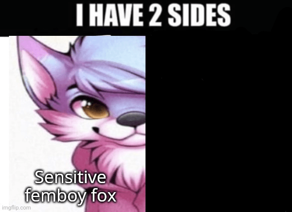 I have 2 sides blank template