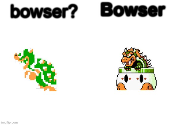 Bowser