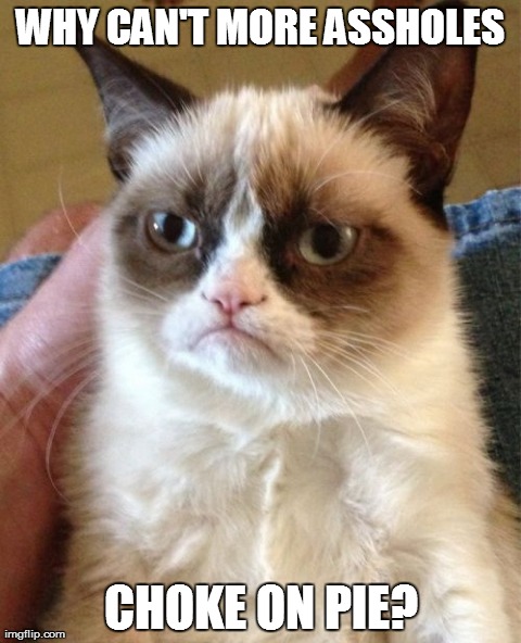 Grumpy Cat