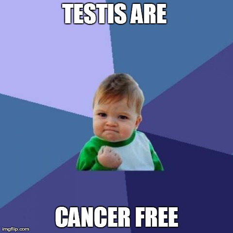 best news after my scan