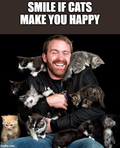 If cats make you happy