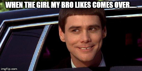 dumb and dumber