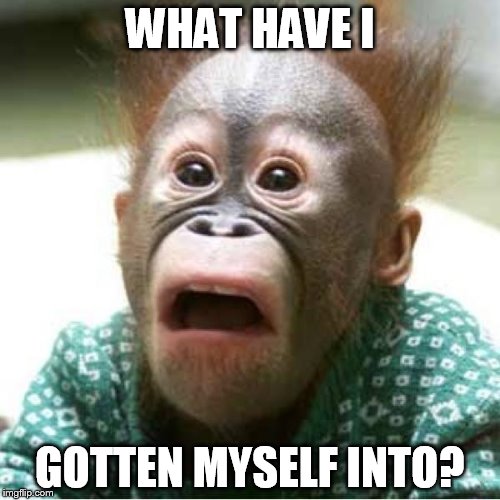 made at imgflip.com