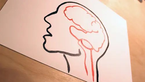 The Time Hack Business Insider - Nature Photo Collection - Desktop Quality