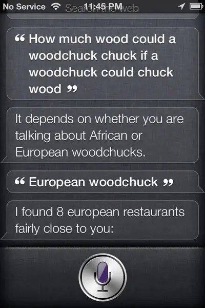 Siri Why R Funny - Retina City Images for Desktop