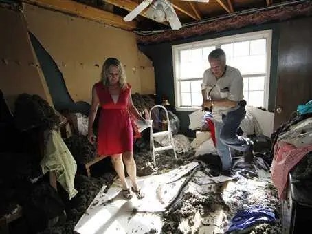 Birdingtools Tim Kastelle - Elegant Full HD Minimal Backgrounds | Free Download